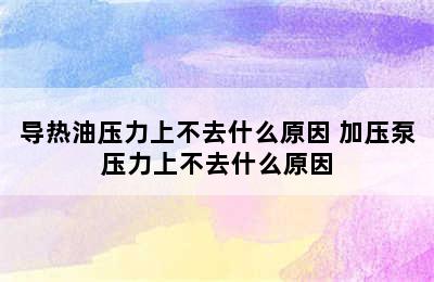 导热油压力上不去什么原因 加压泵压力上不去什么原因